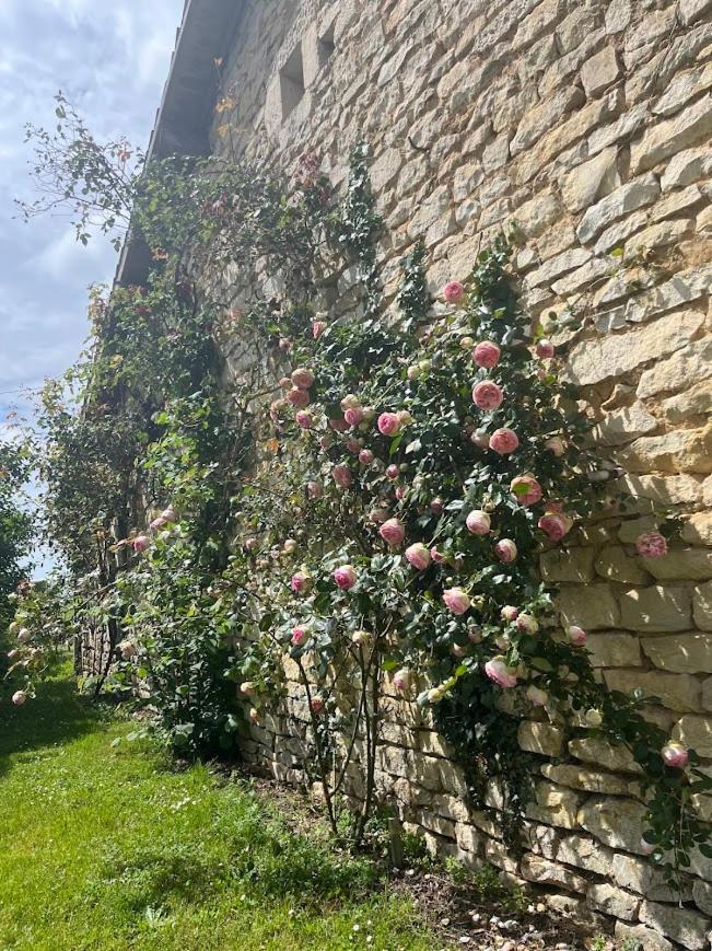 Maison Terracotta, le calme aux portes de Poitiers Saint-Julien-l'Ars Extérieur photo